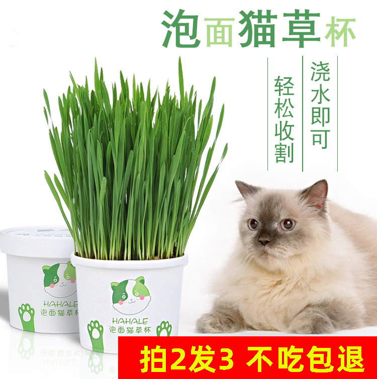 Cat and pot seed set cat snack box cat mint herbal mash bag furry