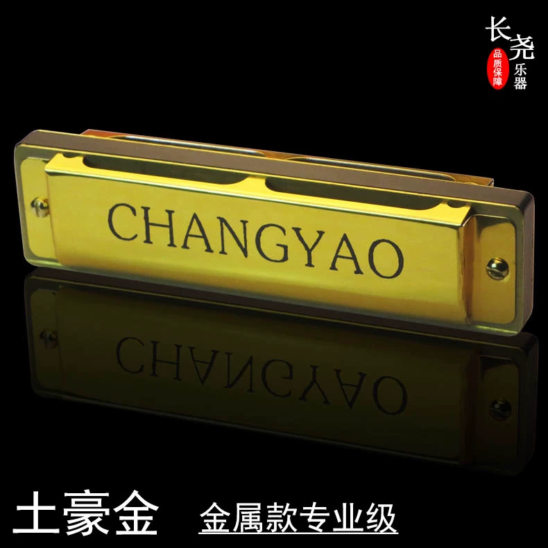 Kèn harmonica 10 lỗ chính hãng / harmonica C blues harmonica + khăn lau đàn piano Tô Châu Guyue Musical Instruments - Nhạc cụ phương Tây