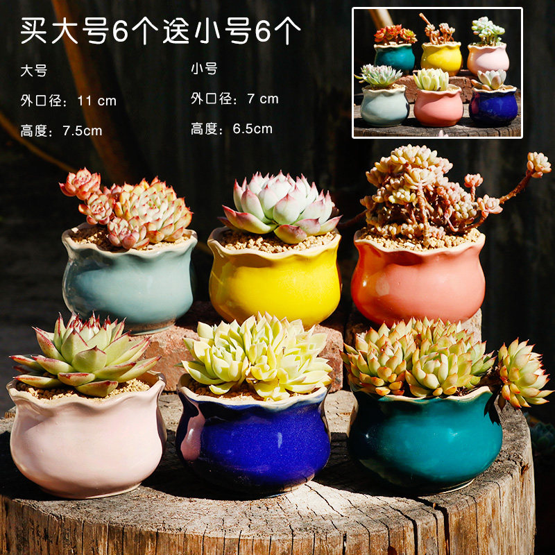 若兰坊延禧盆多肉花盆精致手绘陶瓷植物肉肉专用可爱小花盆包邮 景德镇名瓷在线