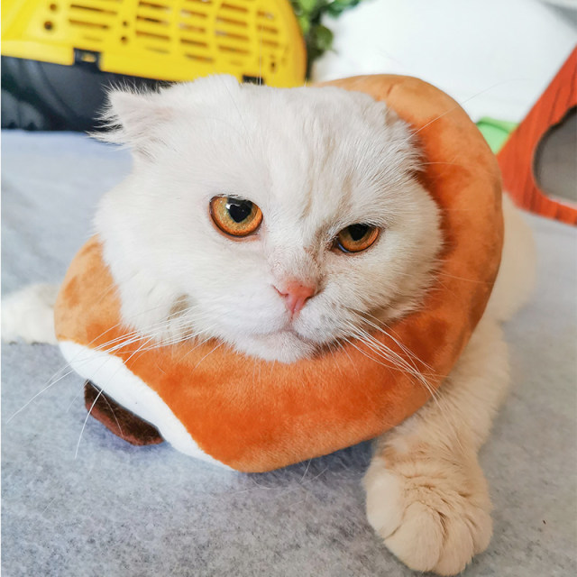 Toast hood cat sterilization anti-licking collar ins cat set pet accessories Elizabethan circle bread slice neck collar