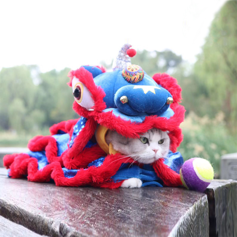 Net red blue dog lion dance dog new year clothes new year festive cat bulldog lion dance lion cat New Year clothes