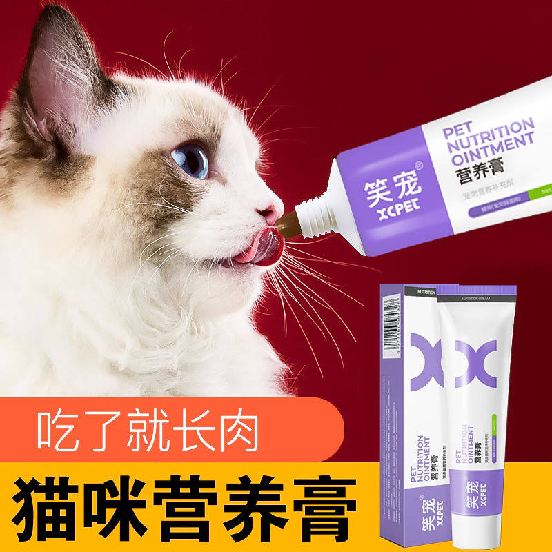 Kitty special nutritional cream to enhance immunity young cat into cat blue cat English short and short supplementary nutrition gain fat blush