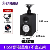 HS5I висит 1 черный (исключая кронштейн) +6,5 Аудиокабель 1