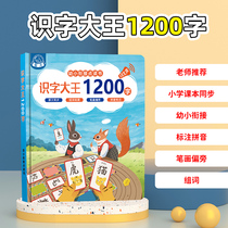 Fun literacy 1200 Words 1200 Words Reading first grade Children study Divine Instrumental Sound Early Teaching Machine Baby Puzzle Toys