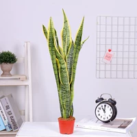 Tiger Pilan 50-60cm3 (оригинальный почвенный бассейн)