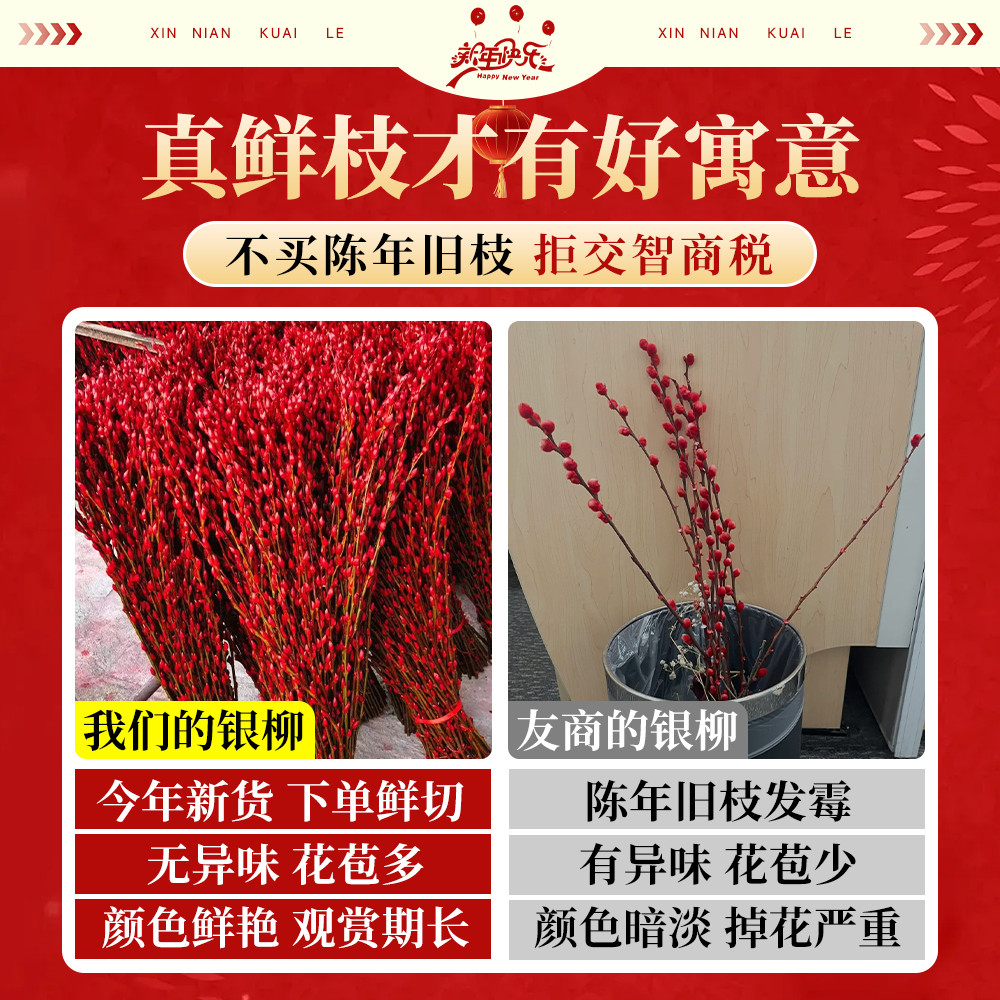 银柳真花鲜枝摆件适合放在客厅吗？2026年新年招财装饰新趋势解读-干花-淘宝百科网
