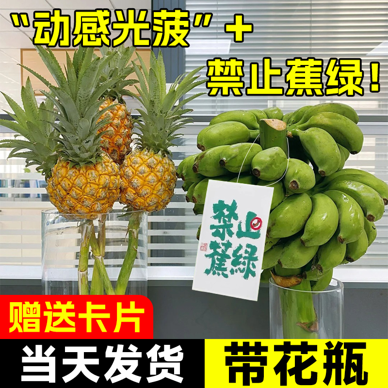 Prohibited Items: Green Banana, Banana, Internet-Famous Pineapple, Hydroponic Plants, Desktop Greenery, Office Fruit, Pineapple, Plantain