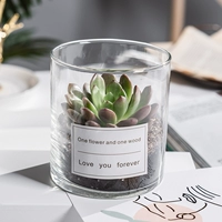 Рубин (цилиндрическое стекло + белая наклейка)