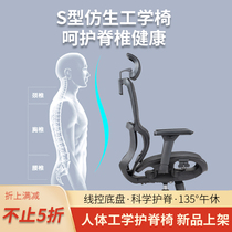 Boss Lunch Break in Lying Office Chair Comfort For Long Sitting Ergonomic Can Liftable Swivel Bow-shaped Chair Staff Web Chair
