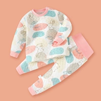 Круглый кролик