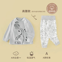 Крутой колесный дракон [высокая талия]