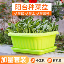 Vegetable pot artifact Family balcony plastic trough Indoor flower pot Small onion lettuce cabbage vegetable planting package