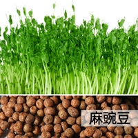 Большой пакетик конопляного горошка 500г.