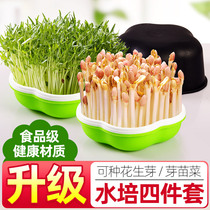 Peanut sprout hydroponic box Hydroponic box Peanut seedlings fresh planting pot Peanut sprout planting plate Peanut sprout artifact