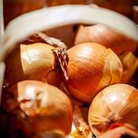 ▲ Lutong Golden Globe 10G Original (желтая кожа)