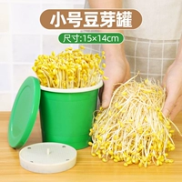 Каратчик маленькой фасоли