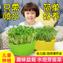 Children Plane Little Potted Kindergarten Students Watch Water Pediy Farm Creative Mini Plant Watch Growth