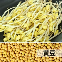 500 г большой пакет соевых бобов