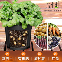 Potato planting pot Carrot seedling planting bucket Family balcony Sweet potato pot Big ginger sweet potato pot Vegetable artifact