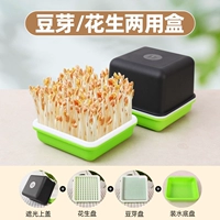 Универсальная коробка для ростков фасоли и арахиса.