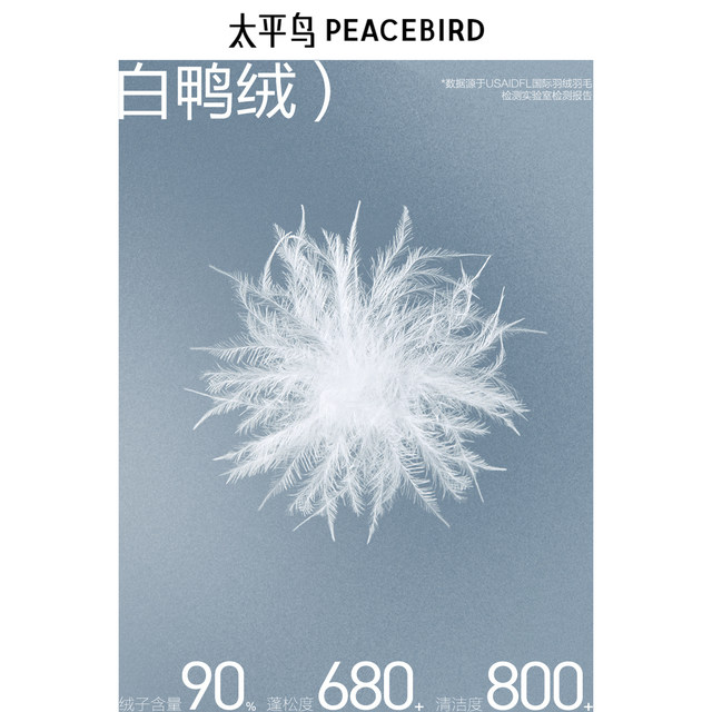 Peacebird Women's Short Color-Block down Jacket 2024 Winter New Hooded Warm Puffer Coat Loose Fashionable Outerwear