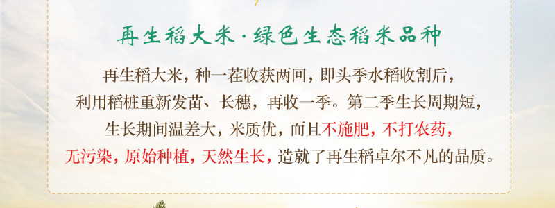 凌代表 再生稻大米 南方长粒香米真空包装 10斤 图1