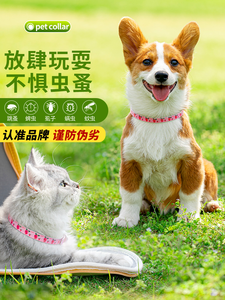 <!--猫咪驱虫项圈除跳蚤防虱子驱蚊狗圈颈圈小狗狗蚤体外猫圈宠物用品-->