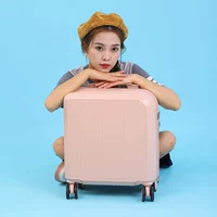 Порошок кизила [119 высокая стоимость]