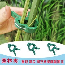 Plant clip garden clip tomato cucumber tomato flower climbing rattan clip plastic gardening branch support tool clip