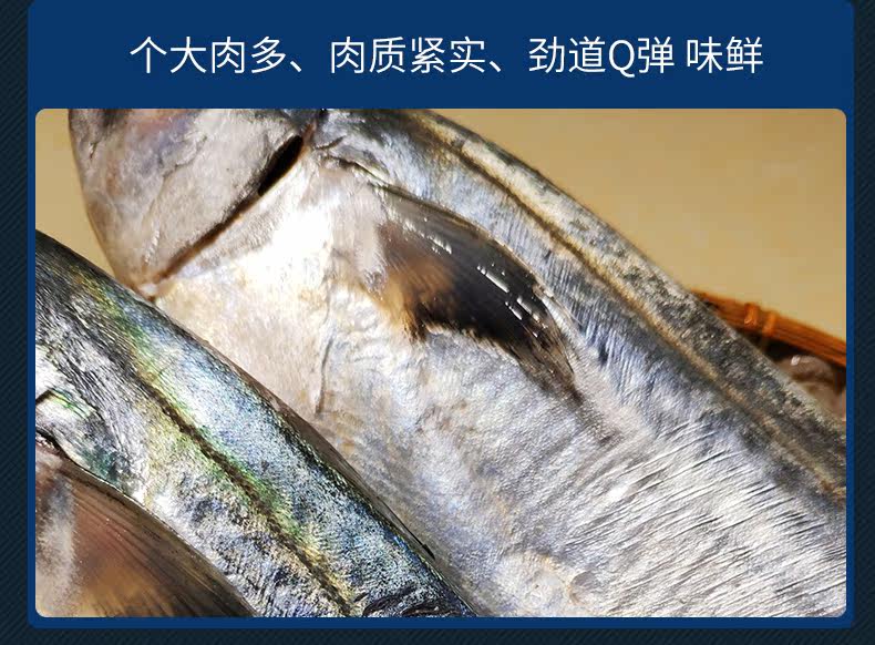 Подробная информация о лошади Mackerel_11.jpg