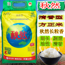 Autumn long grains of cigarettes 10 pounds of northeast Heilong River square meters of rice Qingxiang type 5kg installed with new rice