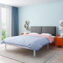 Iron Bed 1 2 m Iron Frame Single Apartment Rental Economy Nordic Double 1 5 m modern minimal network red