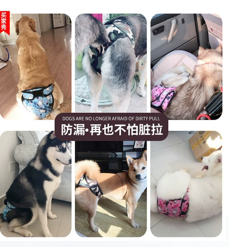 Физиологические штаны для собак штаны для безопасности домашних животных, сука, менструальные штаны, тети брюки, тети брюки, тетя, фальшивая собака собака Тедди