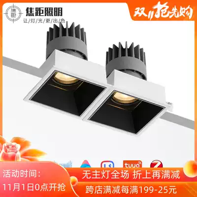 Minimalist LED spotlight narrow frame double head embedded anti-glare bucket grille cob downlight living room ceiling light