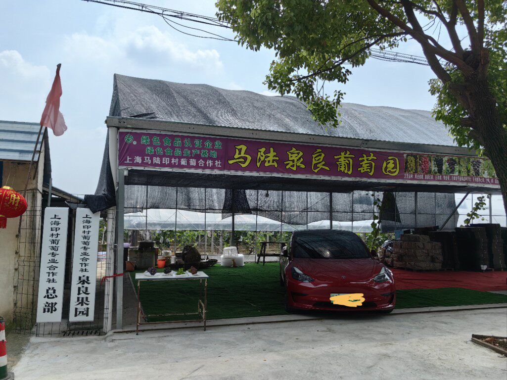 上海马陆泉良果园