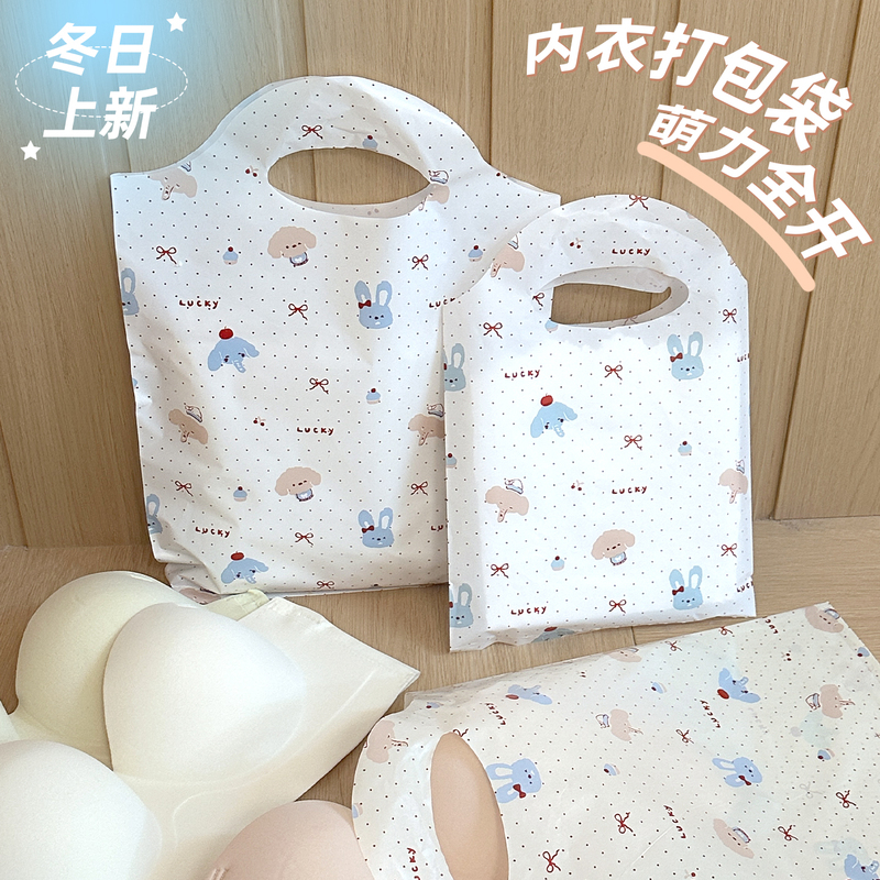 Exquisite Lingerie Packaging Bag, Handbag, Underwear and Socks Packing Bag, Cute Cartoon Plastic Bag, Clothing Bag R165