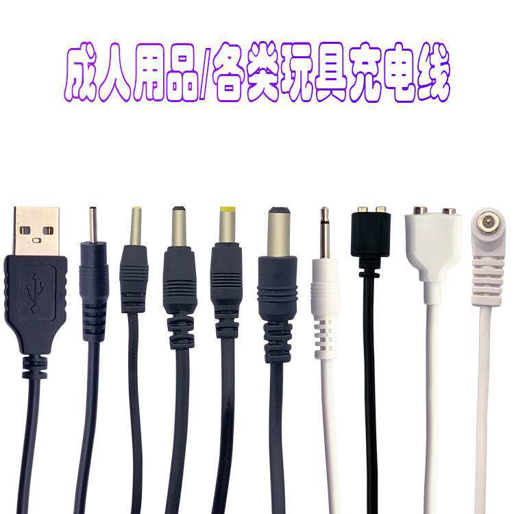 Masturbation device charging cable vibrating stick charger G-spot massage av stick female appliance adult sex supplies