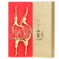 Banshan Agriculture and Forestry Downhill Ginseng Gift Box Changbai Mountain Specialty Northeastern Ginseng 20g Sansheng Sun-dried Ginseng Non-Fresh Ginseng