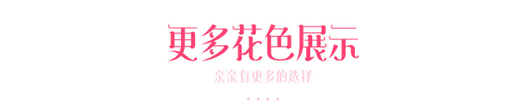 Giường lưới màu đỏ cotton bốn mảnh cotton công chúa gió ren màu rắn chăn mền phủ giường loại váy 1,5 / 1,8m - Váy Petti ga giường viền họa tiết