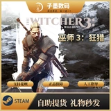 ПК подлинный пароход Wizard 3 Crazy Hunting The Witcher & Reg; 3: Подарки национального района дикой охоты