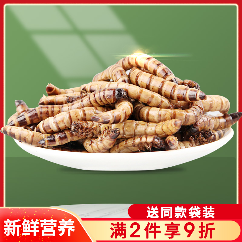 Fresh barley yellow mealworm fresh-keeping insects silkworm chrysalis Red Dragon feed fish food turtle hamster lizard snack bird food