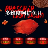 Золотое питание кровь попугай рыба рыба из родило