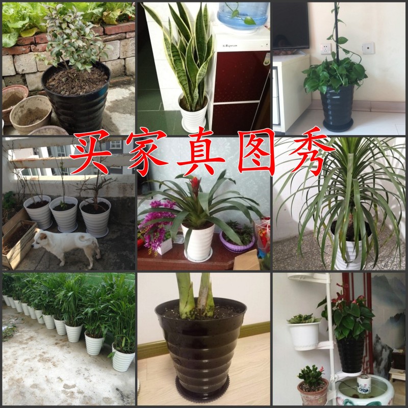 Imitation ceramic plastic thickening contracted landing high round black and white thread extra large household plastic flower POTS