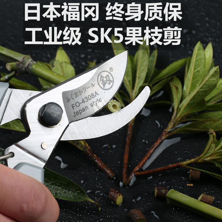 Japan Fukuoka mouth material SK5 alloy steel Labor-saving household branch repair garden art scissors cut fruit tree cut garden entry