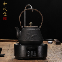 Wachengtang Liannian fish iron pot Handmade uncoated household kettle Japanese tea set Southern Iron Pot Set