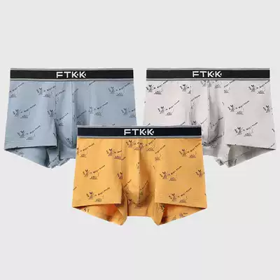 Fenteng FTKK men's underwear boxers Cotton summer thin breathable sports pants boys boxers shorts