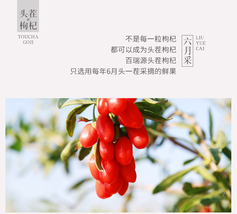 百瑞源 宁夏特级头茬免洗枸杞 210g*2大袋 内里小袋包装 图2
