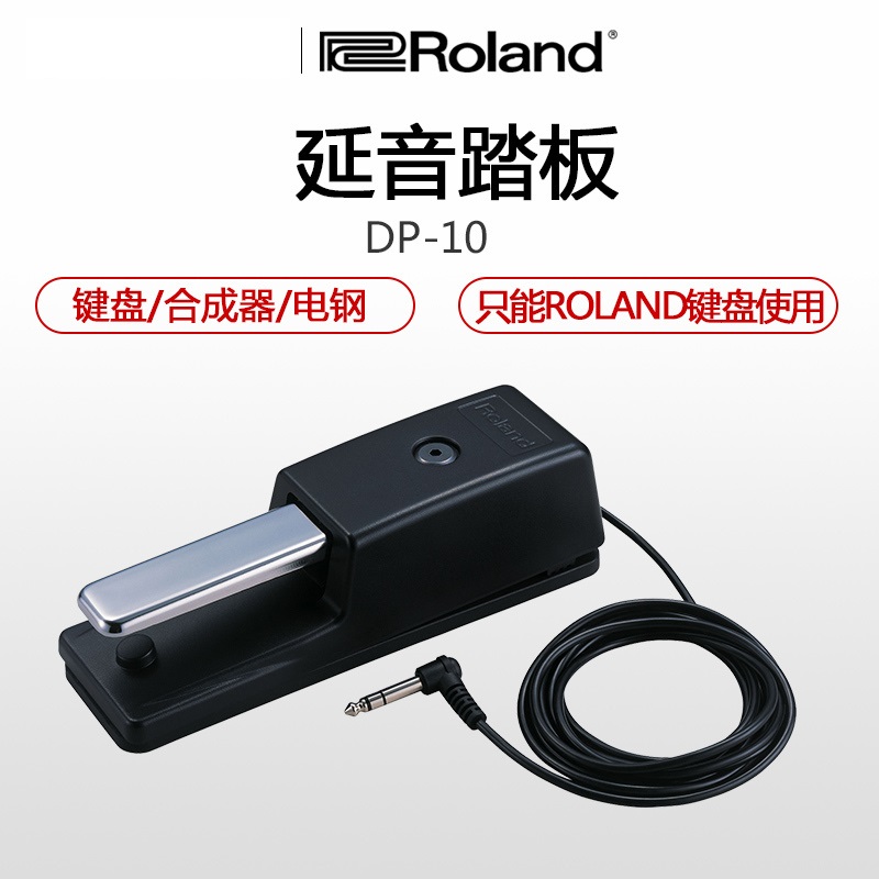 Roland Roland DP-2 DP-10 RPU-3 dp10 electronic organ synthesizer electronic organ sustain pedal