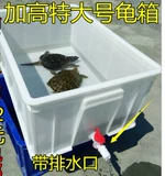 ~ Над крупной черепаховой прудом для хранения черепах для хранения черепах можно собрать с полным набором воздушной коробки для размножения рыб.