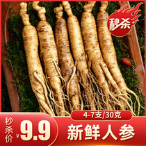 (9 9 yuan)Fresh ginseng wine Changbai Mountain Wild mountain ginseng Northeast ginseng Fresh ginseng pruning with soil